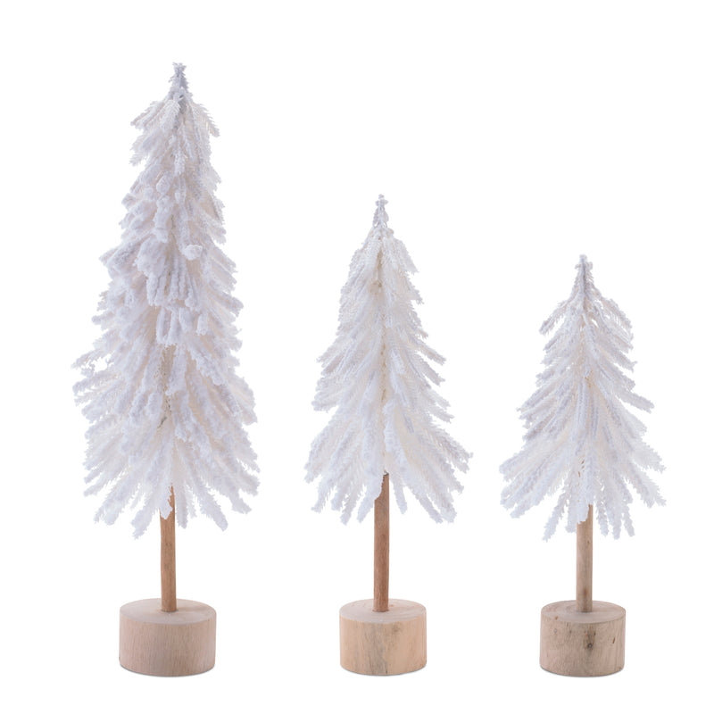 White Snowy Tree