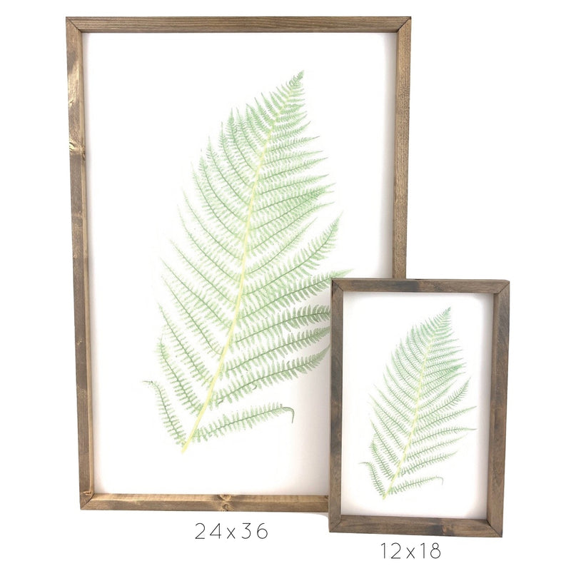 Green Sprig <br>Framed Art