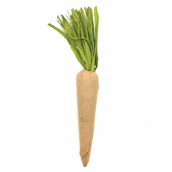 Spring Carrots